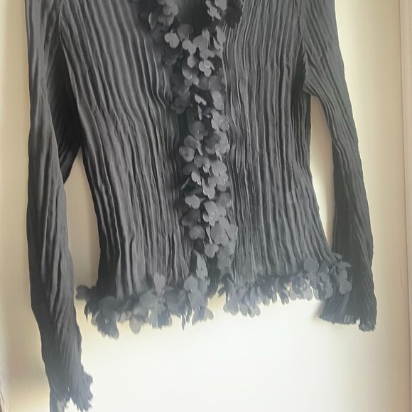 Black Pleated Sheer Blouse - Picture 2 of 3